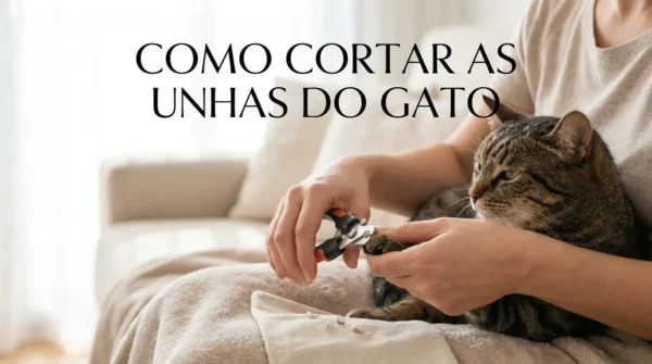 Como Cortar as Unhas do Gato