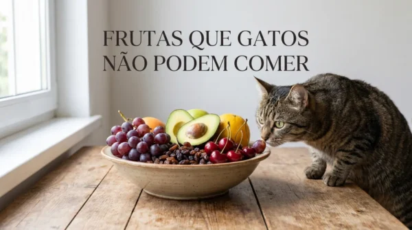Frutas Que Gatos Não Podem Comer