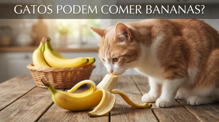 Gato Pode Comer Banana?