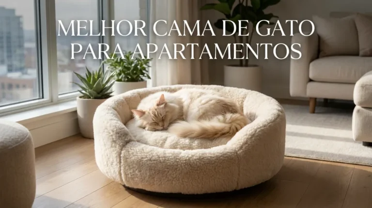 Melhor Cama Para Gatos em Apartamento