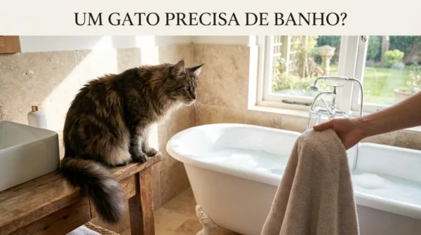 O Gato Precisa Tomar Banho?