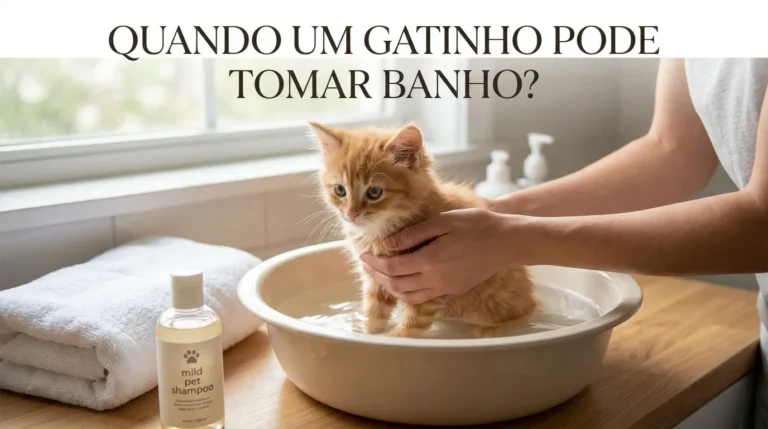Quando o Gato Filhote Pode Tomar Banho?
