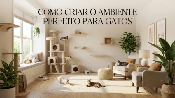 Como Montar um Ambiente Perfeito Para Gatos