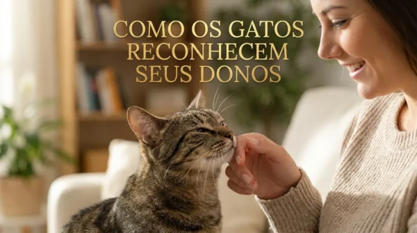Como os Gatos Reconhecem Seus Donos