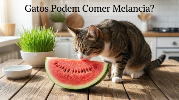 Gato Pode Comer Melancia?