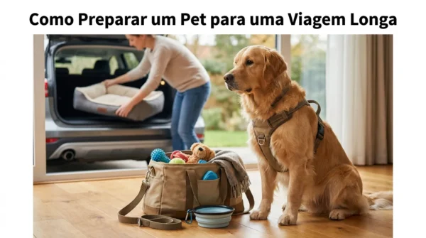 Como Preparar um Pet para uma Viagem Longa