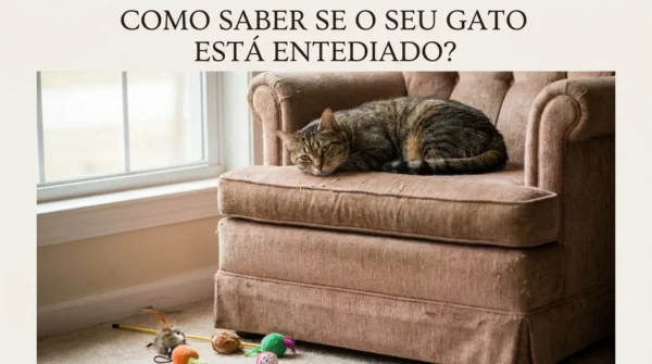 Como Saber se o Gato Está Entediado?