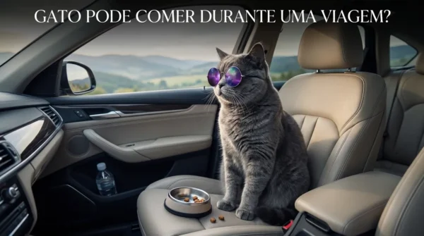 Gato Pode Comer Durante uma Viagem?
