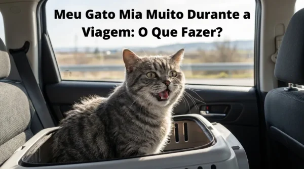 Meu Gato Mia Muito Durante a Viagem