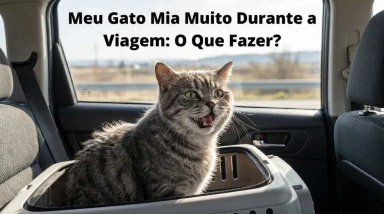 Meu Gato Mia Muito Durante a Viagem