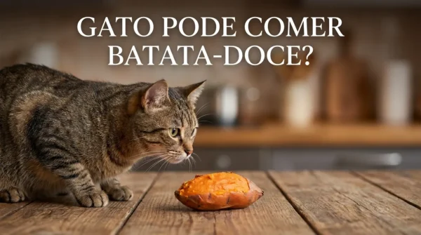 Gato Pode Comer Batata-doce?
