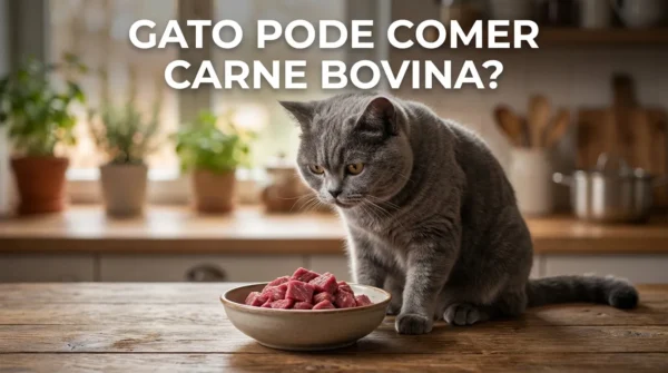 Gato Pode Comer Carne Bovina?