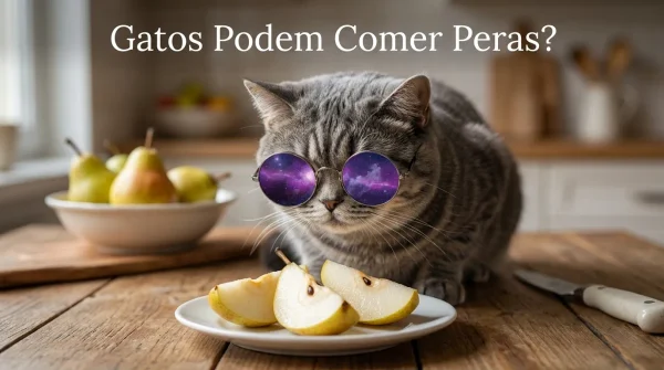 Gato Pode Comer Pera