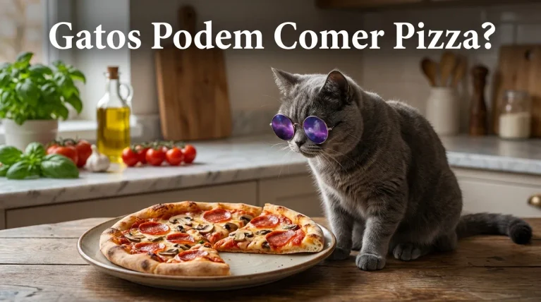 Gato Pode Comer Pizza?