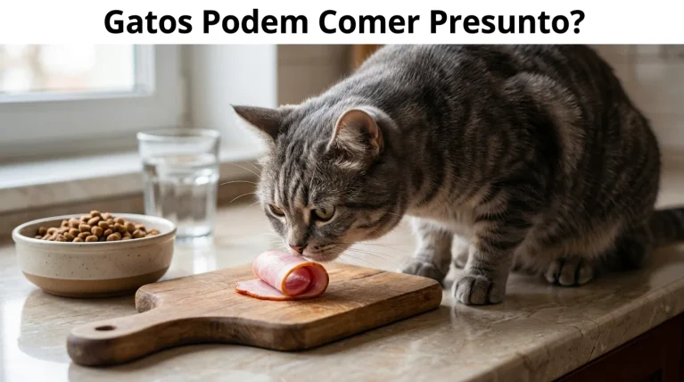Gato Pode Comer Presunto