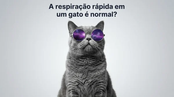 Gato Respirando Rápido é Normal